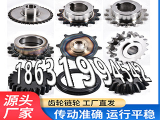 斗式提升机链轮结实耐用